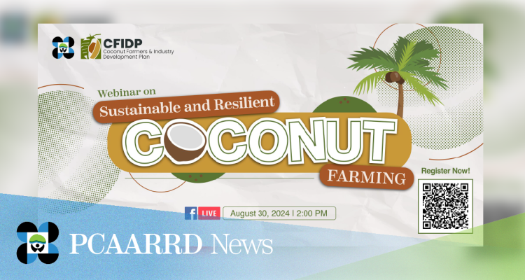 Webinar tackles sustainable and resilient coconut farming  for 2024 National Coconut Week